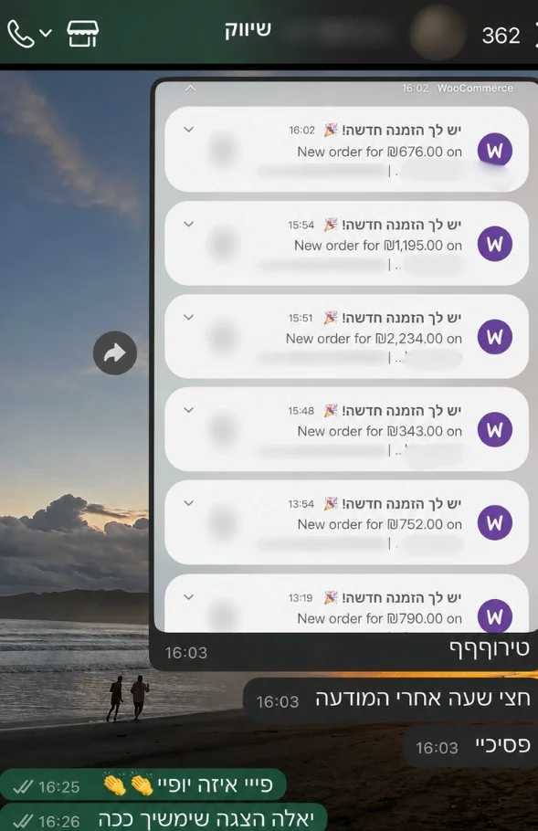 הזמנות חדשות מהקמפיין